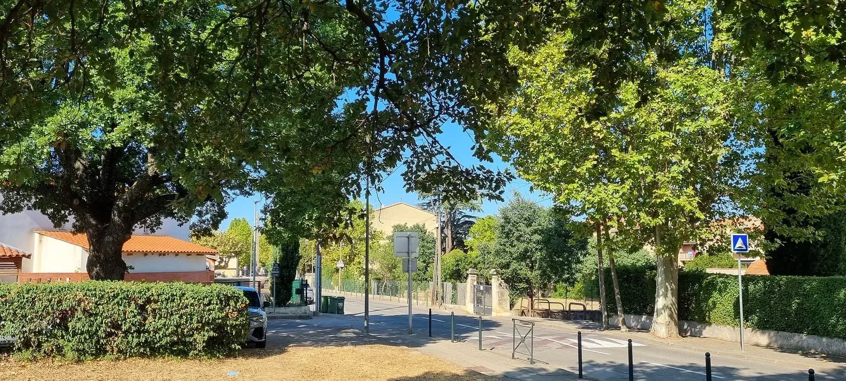 Millésia — photo 7